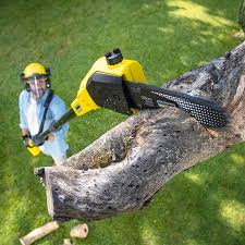 Best Arborist Consultation Services  in Southlake, TX