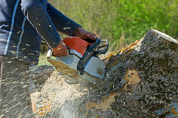 Best Tree Mulching  in Southlake, TX