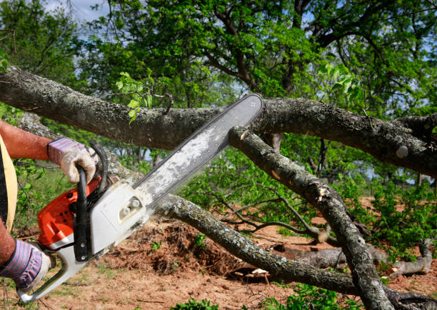 Best Utility Line Clearance  in Southlake, TX